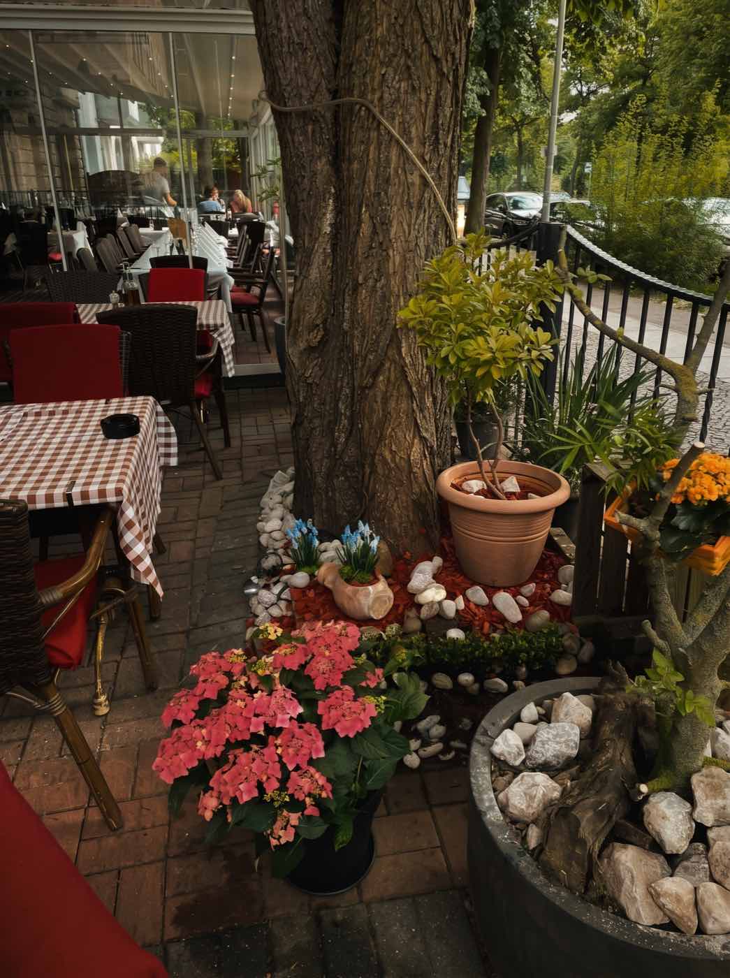 Terrassenecke mit Blumen und Olivenbaum am Tegeler Weg